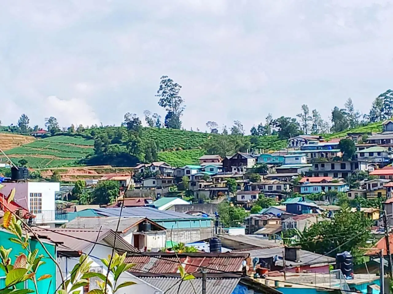 Dio Green Hilltop Nuwara Eliya Sri Lanka